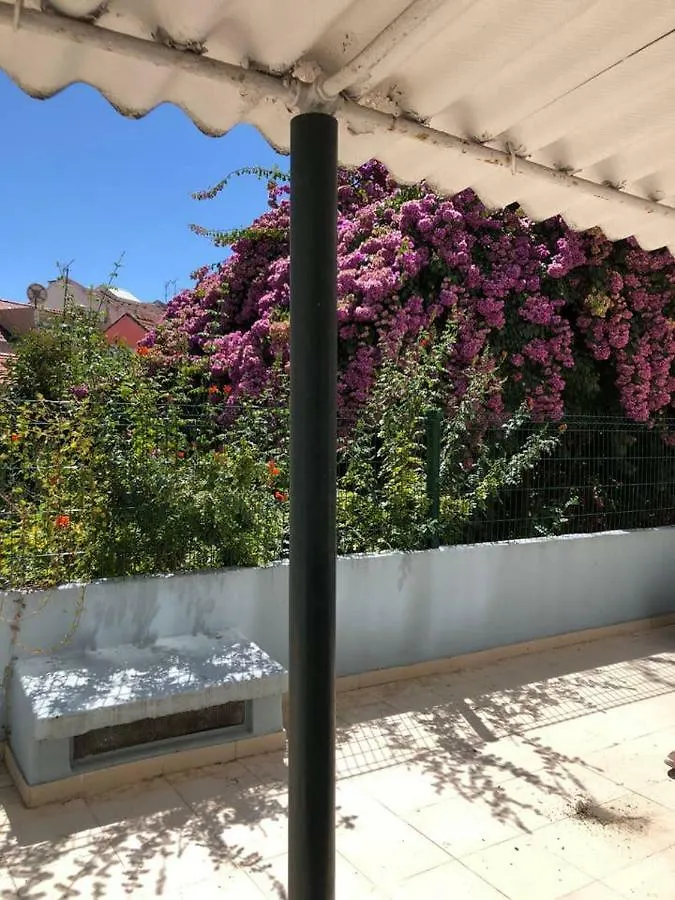 Grandmommy'S House - Traditional And Comfy Lisboan Apartment Lisboa